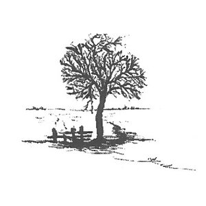 Uitvaartverzorging Medemblik logo