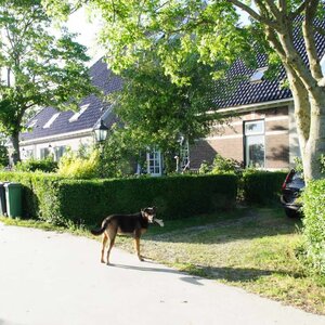 Boerderij de Waard image 5