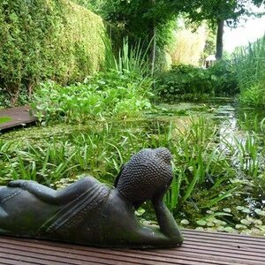 Klaas Bart Hoveniers image 1