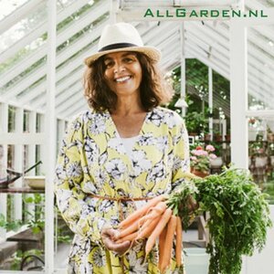 van Dalfsen Dienstverlening image 1