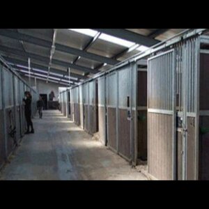 Manege Beukers image 2