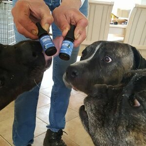 CBD / The Real Spirit image 4