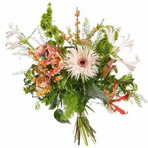 Bloem Diezijn image 1