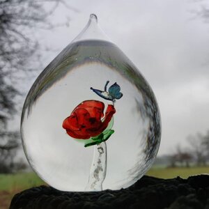 Anno Nu Uitvaartverzorging image 1