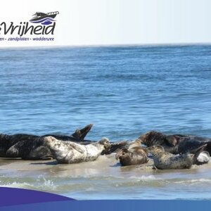 Vaartochten Texel de Vrijheid image 2