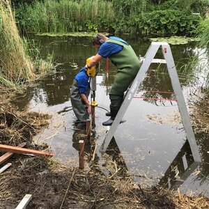 Greens &amp; Garden image 4