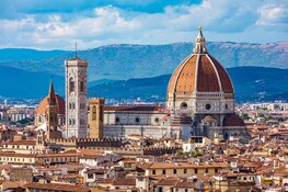 Online lezing over Florence