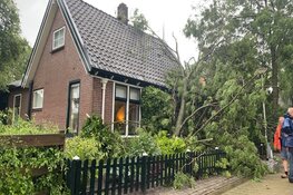Grote boom tegen woning gewaaid in Westerland, veel schade