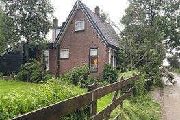 Grote boom tegen woning gewaaid in Westerland, veel schade