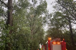 Takken op de weg gewaaid nabij Van Ewijcksluis