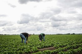 Onderzoek huisvestingslocaties arbeids-migranten levert 14 voorkeursgebieden op