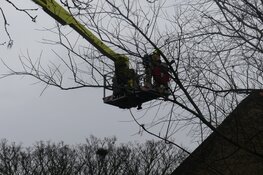 Schoorsteenbrand in stolpboerderij Wieringerwaard
