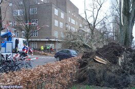Fotoalbum: Noord-Holland in de greep van storm Eunice