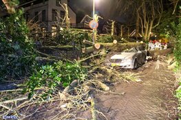 Fotoalbum: Noord-Holland in de greep van storm Eunice