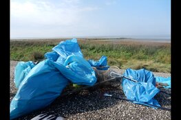 Staatsbosbeheer organiseert opschoondag langs het wad op Wieringen