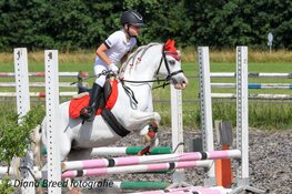 Wironruiters springen uit de ban