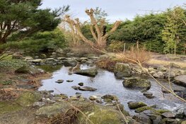 Workshop Smartphone fotografie op locatie Hortus Overzee in Den Helder