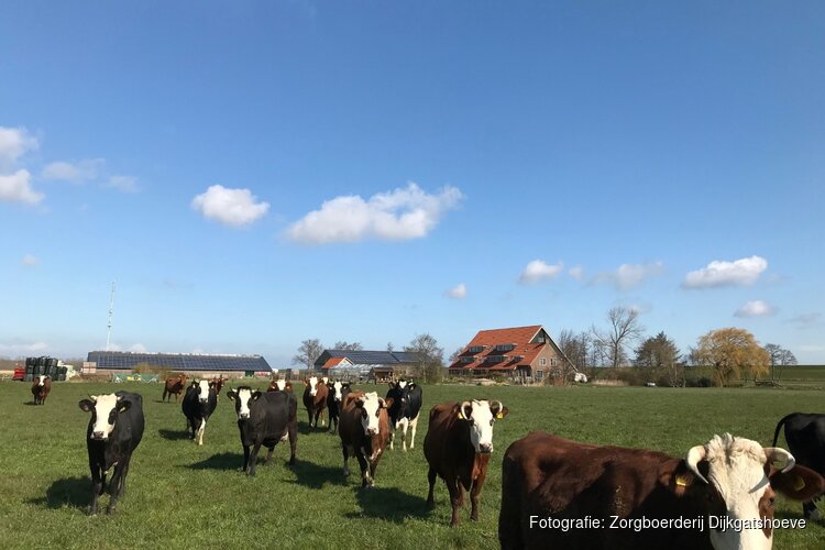Boer worden op biologisch-dynamische zorgboerderij Dijkgatshoeve?