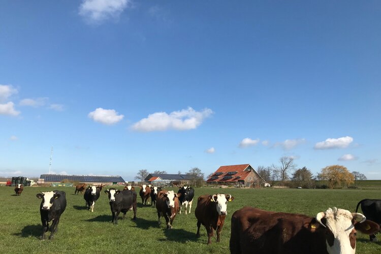 Vacature: Persoonlijk begeleider Dijkgatshoeve