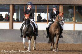 Paardrijvereniging de Wironruiters luidt 2023 grootst in