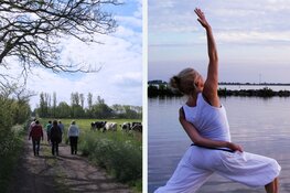 Zondag 12 februari, Yoga-Wandeldag op Wieringen