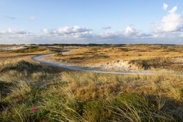 Handen uit de mouwen in de natuur van de Noordkop!