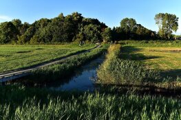 Wandel mee door de oude wadgeul Kruiszwin bij Anna Paulowna