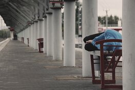 30,6 duizend dakloze mensen in Nederland