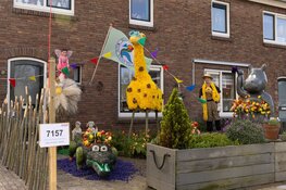 Mozaïek ‘Simply the Best’ is Nederlands Kampioen van de Bloemendagen 2024