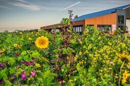 Vergaderlocatie helpt vergader-frustraties de wereld uit: 10 jarig bestaan Leven van de Wind in Wieringerwerf