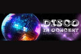 Disco in Concert: The 30+ Party Of The Year in FG-LIVE