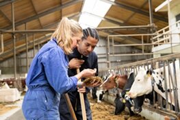 Boerderijwinkel ’t Boeren(be)leven te zien bij Wie de boer niet kent (RTL4)