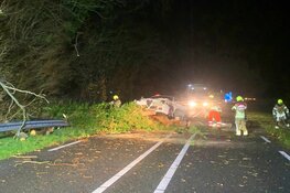 Automobilist rijdt tegen omgewaaide boom in Hippolytushoef