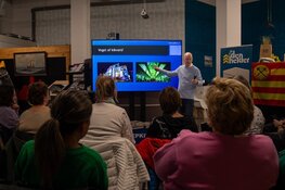 Smartphonefotografie in Noord-Holland