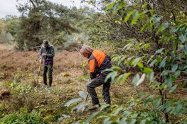 Binnenwerk aan de slag bij Staatsbosbeheer in de Kop van Noord-Holland