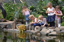 Na maanden verbouwen is Vlindorado ruimer en grootser dan ooit