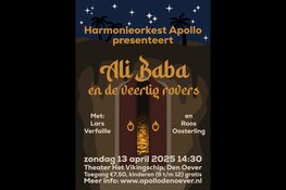 Muzikaal Sprookje: Ali Baba en de 40 rovers in Vikingschip