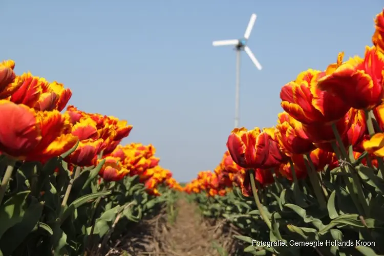 Beleidskader kleine windturbines
