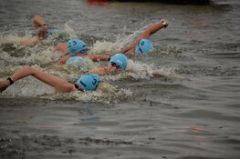 Open Water Wedstrijd Anna Paulowna viert 46e editie