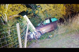 Automobilist vliegt uit de bocht en wordt aangehouden