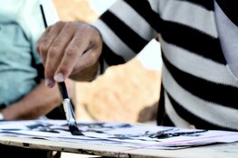 Schilderlessen voor beginners en gevorderden