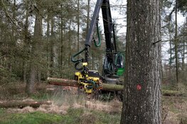 Staatsbosbeheer organiseert excursies over bosbeheer in Robbenoordbos