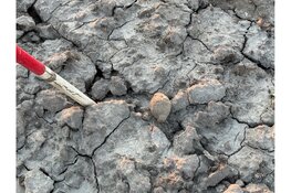 Handgranaat gevonden tijden rooien van aardappelen