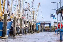 Water in haven Den Oever ver boven de kades door storm Amy