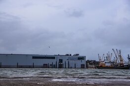 Water in haven Den Oever ver boven de kades door storm Amy