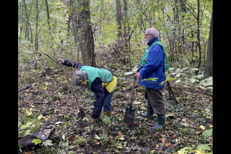 Help mee jonge bomen redden tijdens de oogstdagen van ‘Meer Bomen Nu’