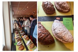 Bakkerij Alkemade opnieuw in de prijzen bij Nederlands Kampioenschap!