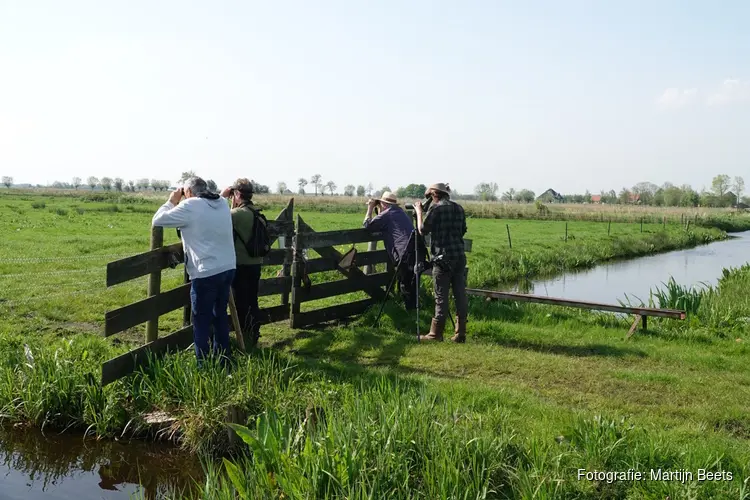 Help jij mee om boerenlandvogels te beschermen op Wieringen?