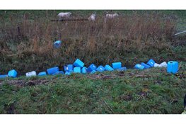 Tientallen vaten met chemicaliën gedumd bij schapenwei