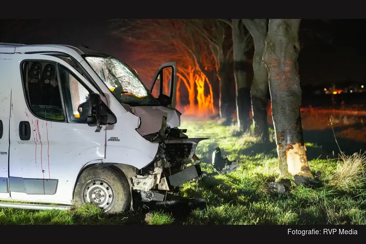 Bestelbus zwaar beschadigd na botsing tegen boom, bestuurder gevlogen